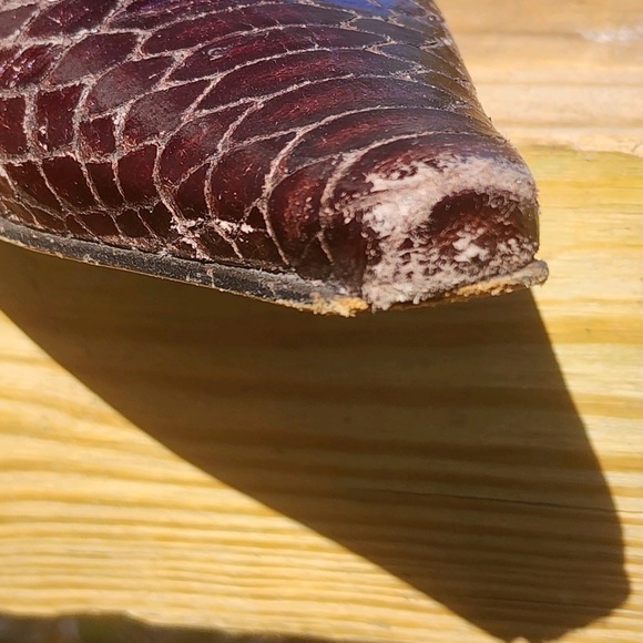 Kenneth Cole kitten heel pump - Picture 13 of 14